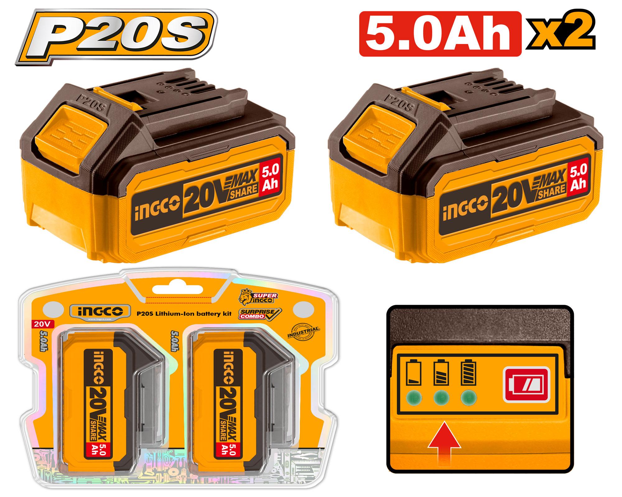 P205 Lithium-Ion Battery Kit