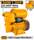 Water Pump 1HP